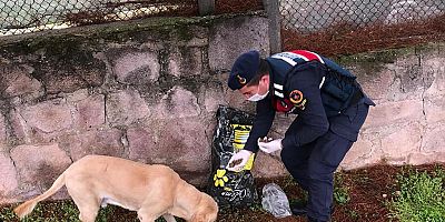 Ulubey Jandarma Komutanlığı Sokak Hayvanlarına Sahip Çıktı…